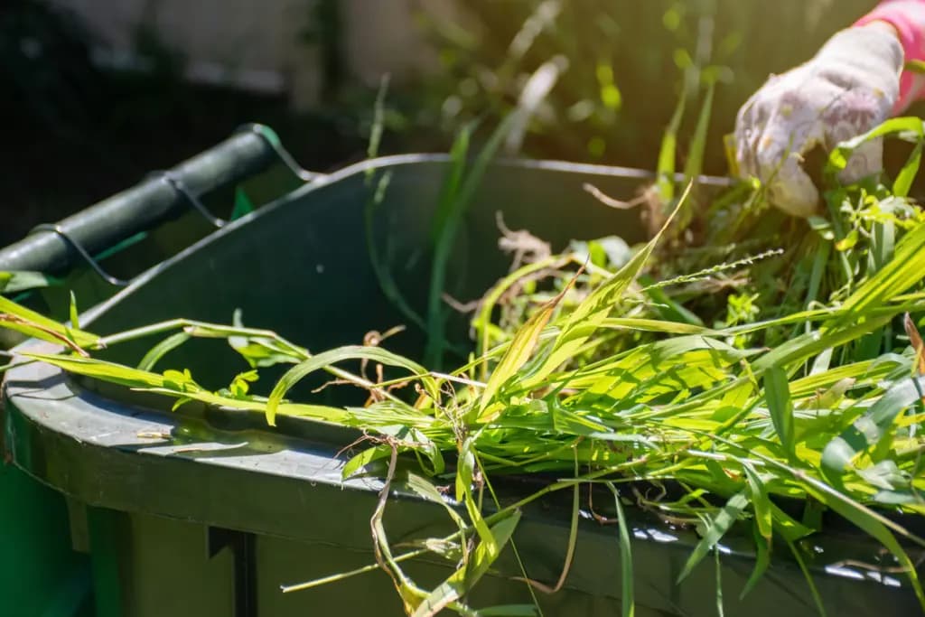 Gartenabfall Container mieten in Hamburg: Was Sie wissen müssen