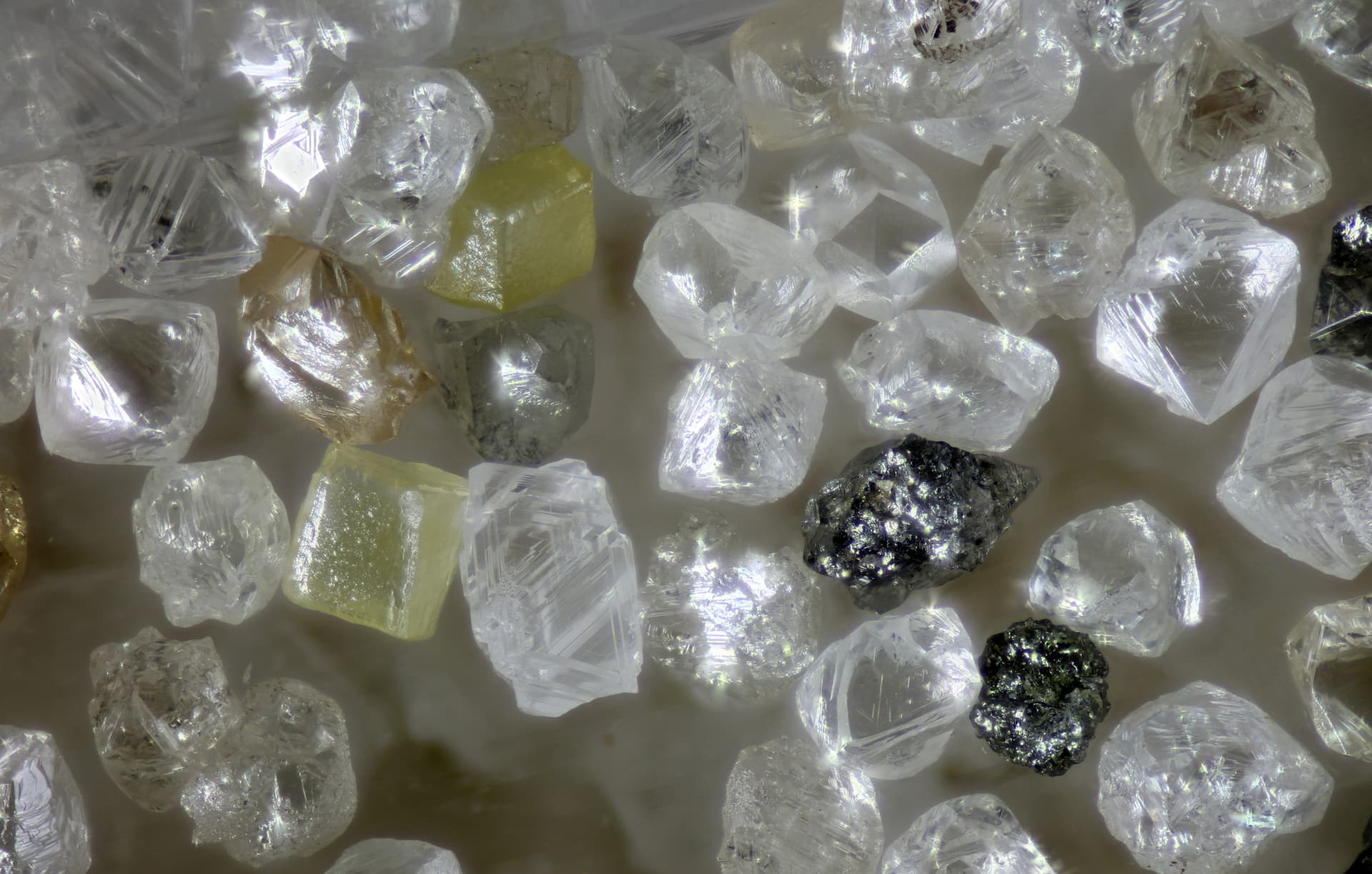 "Diamanten: Ewige Symbole der Zuneigung