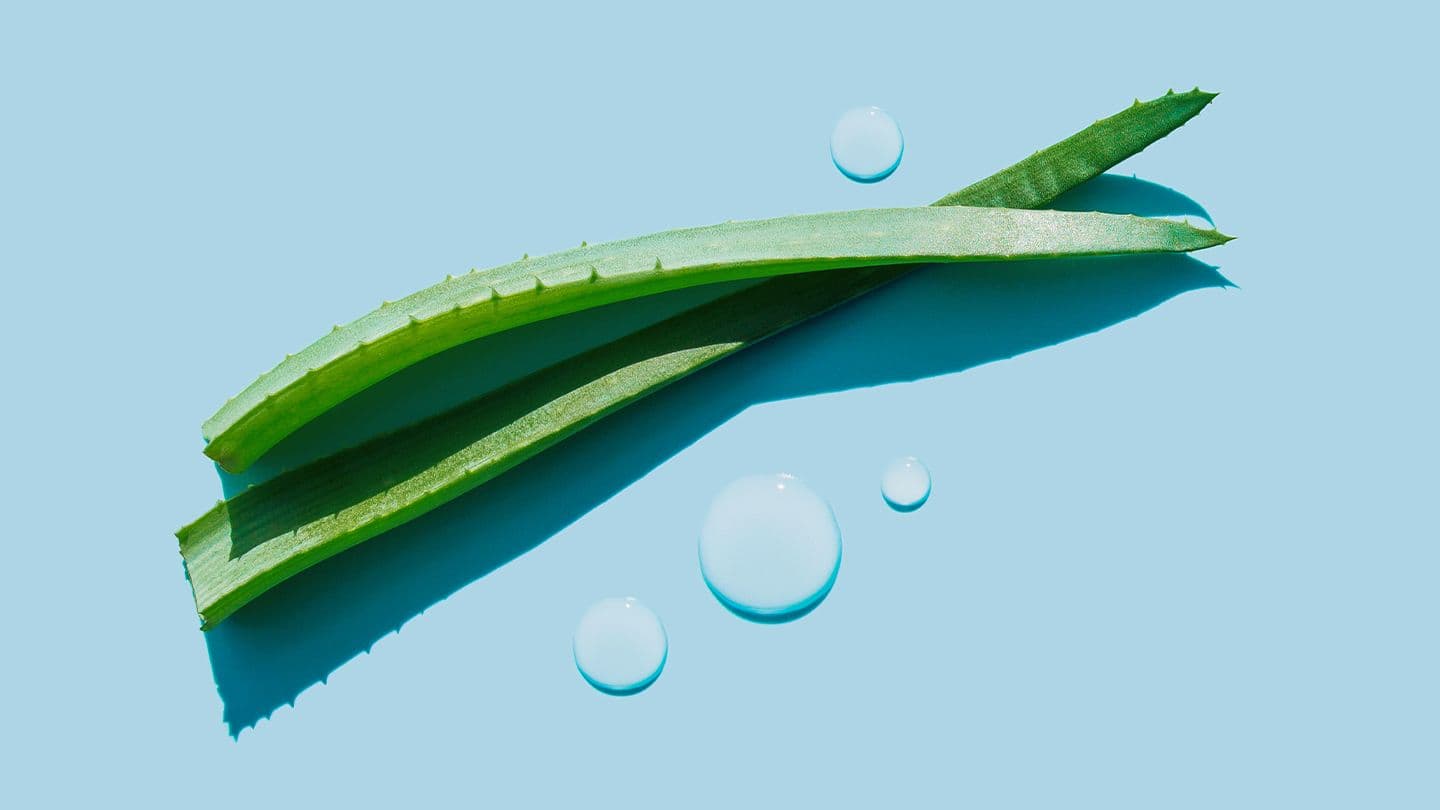 Für immer jung mit Forever Living: Die Kunst der zeitlosen Schönheit