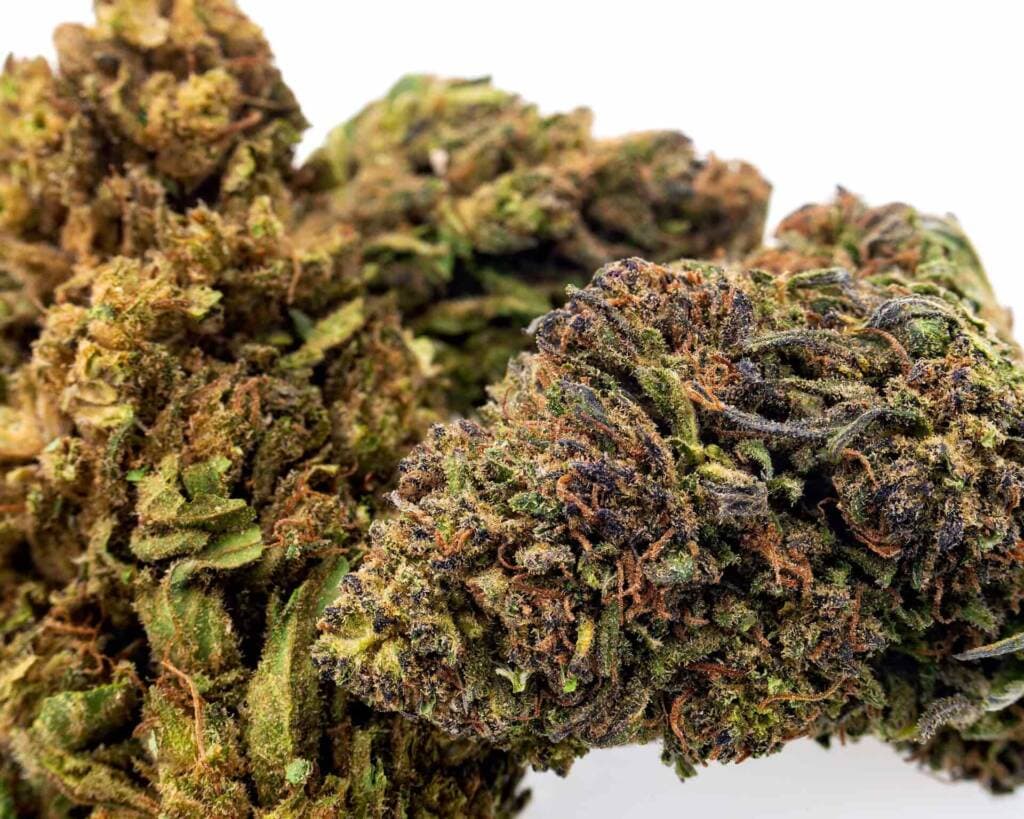Die besten Sinsemilla-Sorten von Cannapot – Für Liebhaber von Weed und Cannabis Sativa