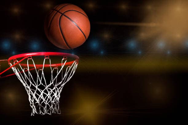 Der Nationale Servicefaktor in der Sportentwicklung