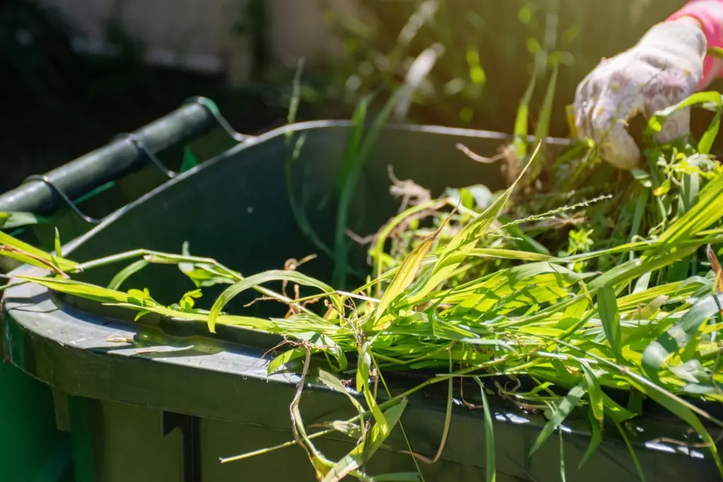 Gartenabfall Container mieten in Hamburg: Was Sie wissen müssen