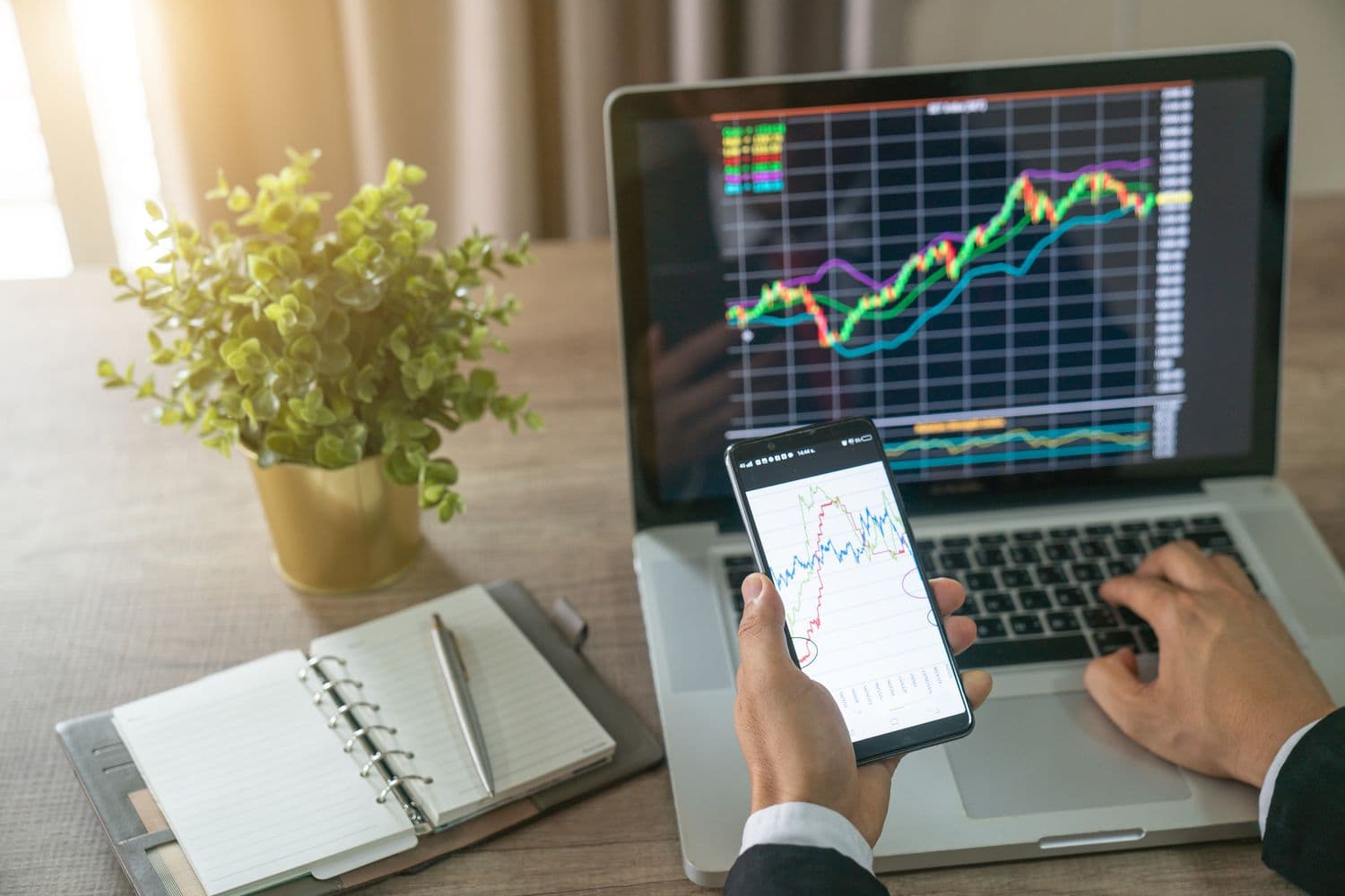 Gainfulmarkets.com: Wo Ihre Investitionen zu Gewinnen werden