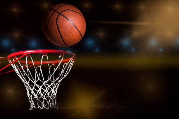 Der Nationale Servicefaktor in der Sportentwicklung