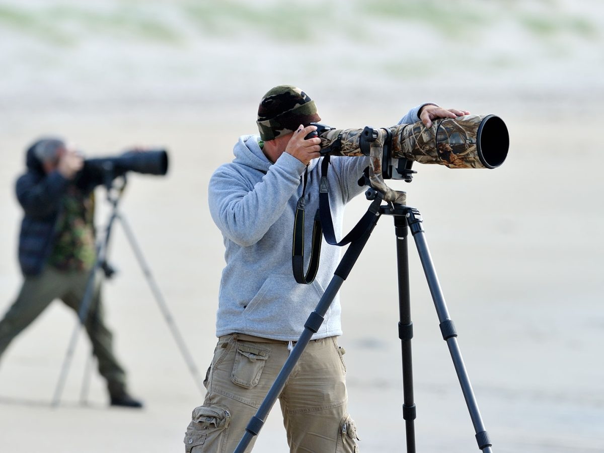 Warum eine kamera für einsteiger der beste Start in die Fotografie ist