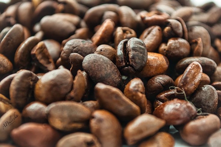 Der Duft von Espressobohnen: Eine Reise durch den Kaffeegenuss