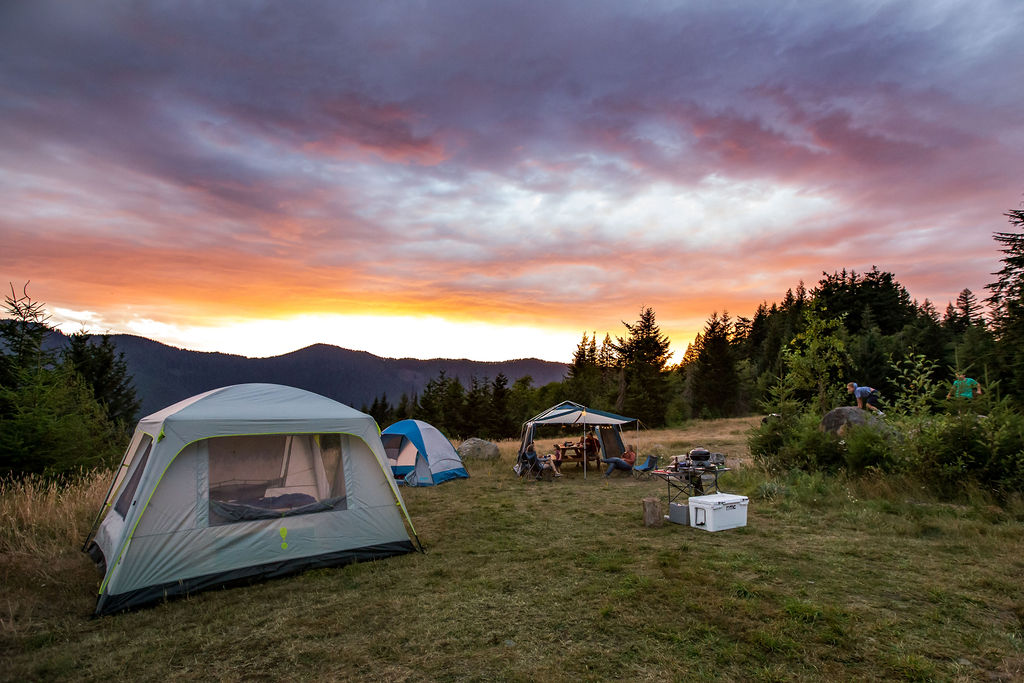 Sternenbeobachtungsvergnügen: Camping unter einer Sternendecke